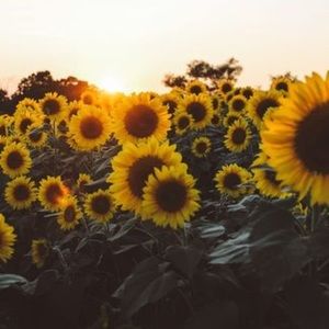 Meet your Posher, Gloria